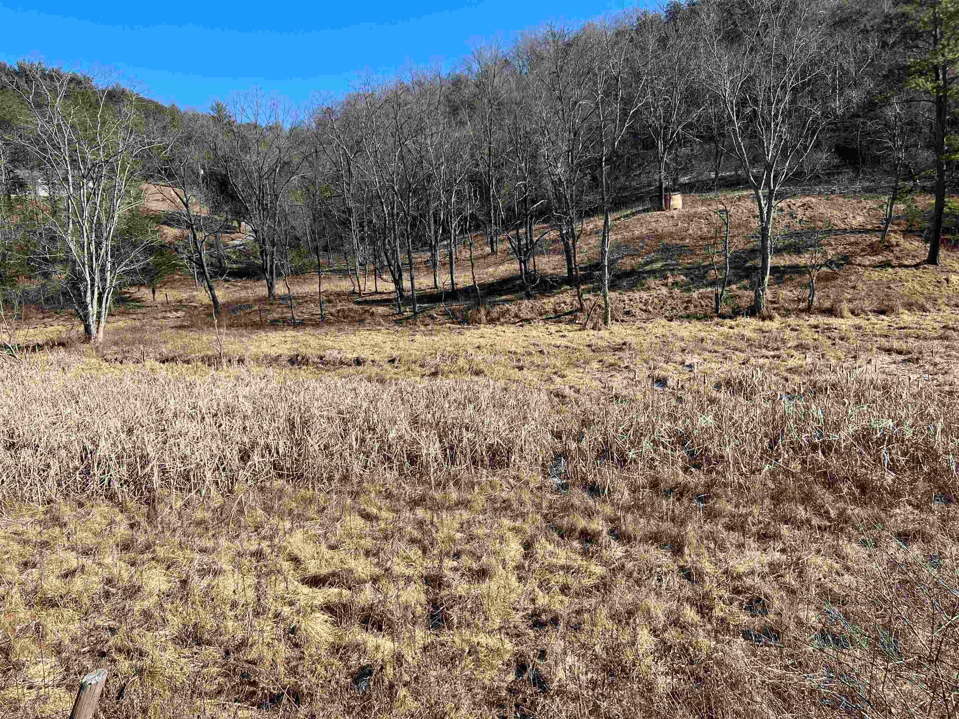 TBD Pilot Road, Christiansburg, VA, photo 1 of 17