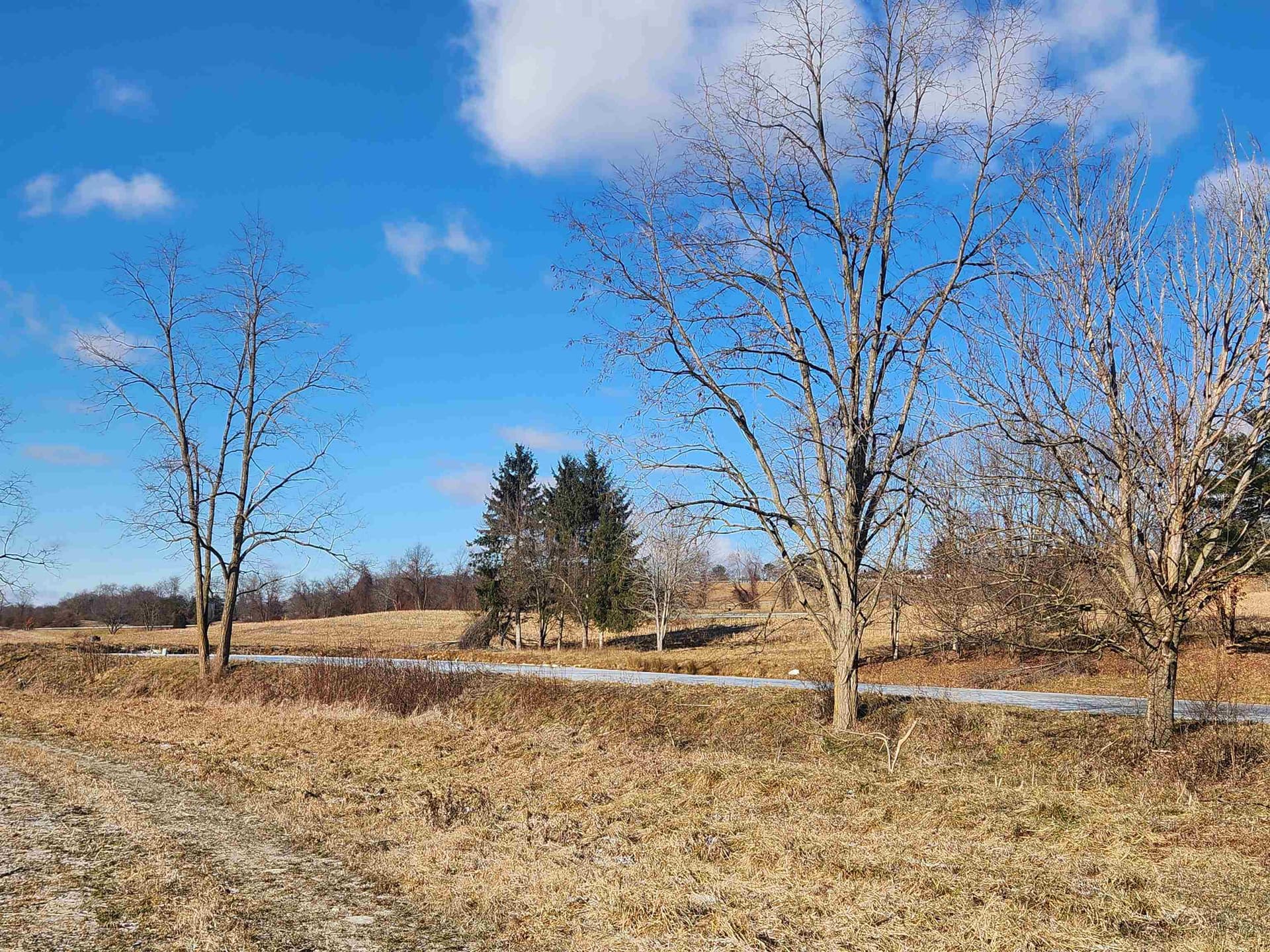TBD Flanagan Drive, Christiansburg, VA, photo 1 of 1
