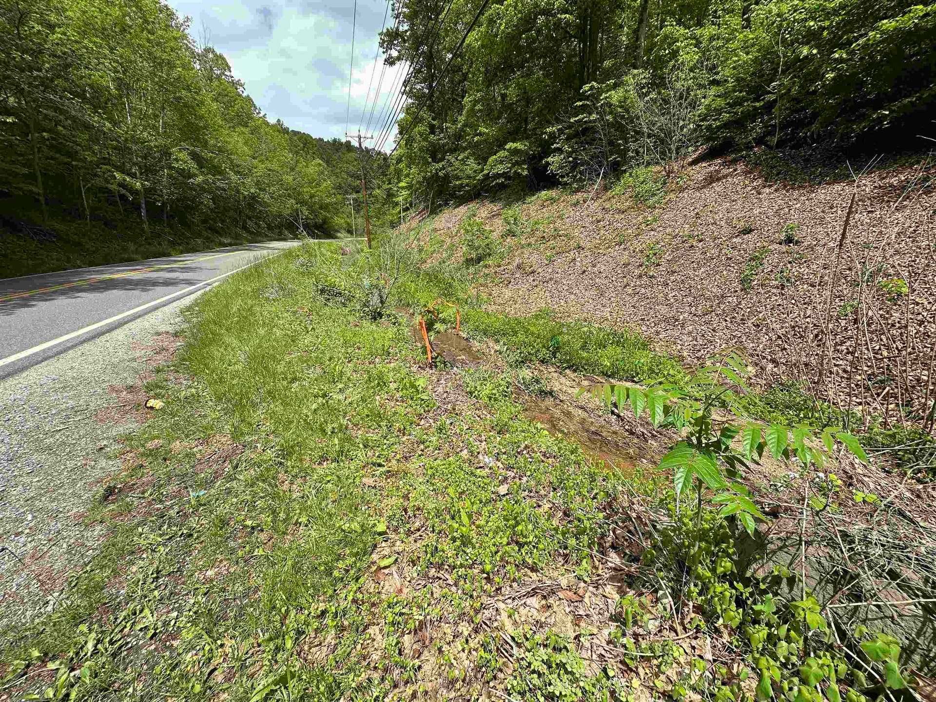 TBD Pilot Road, Christiansburg, VA, photo 1 of 11