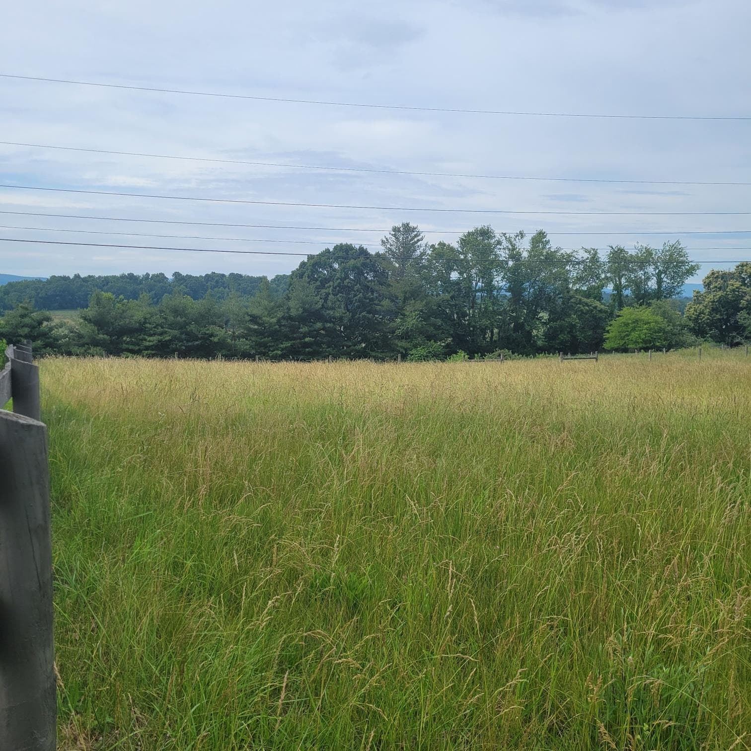 0 Mud Pike Road, Christiansburg, VA, photo 1 of 5