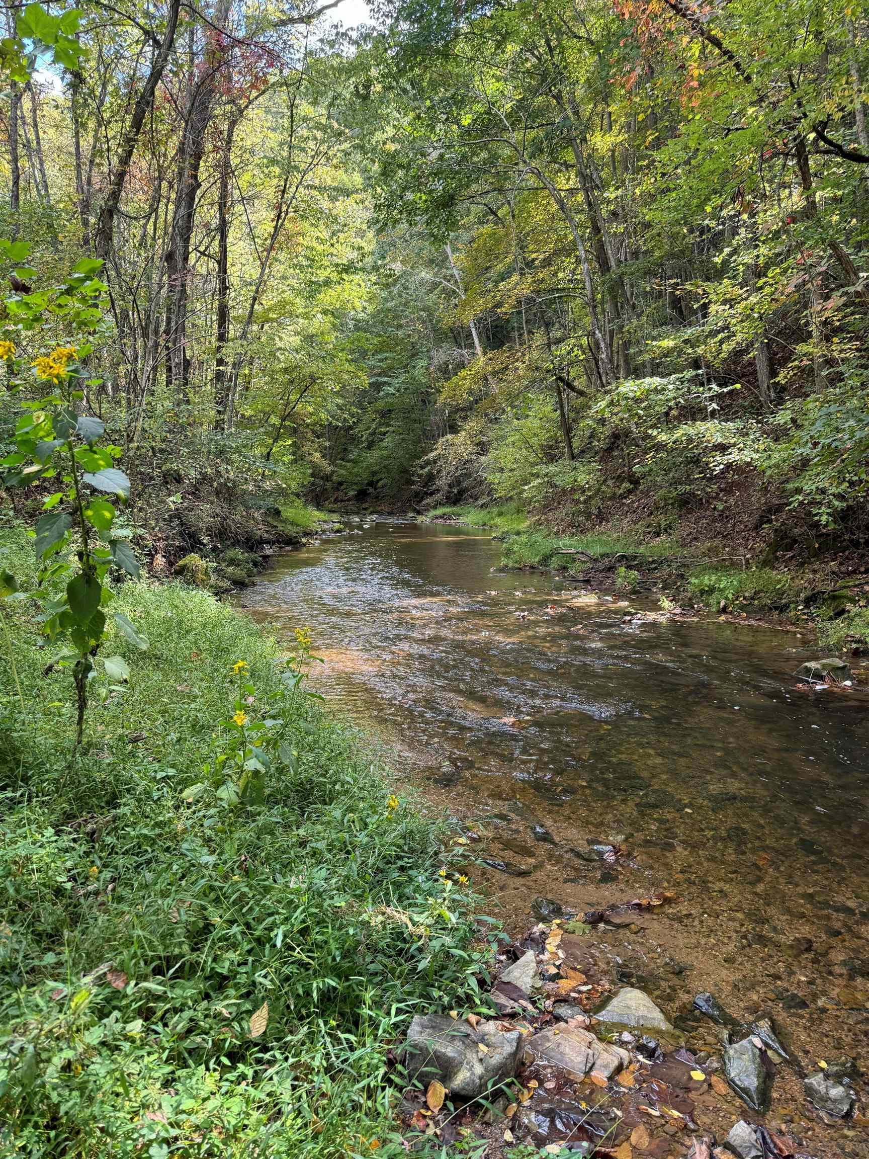 TBD Elliott Creek Road, Christiansburg, VA, photo 1 of 4