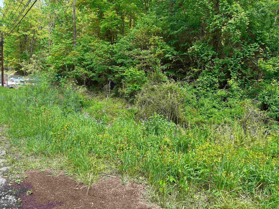 TBD Pilot Road, photo 2 of 11