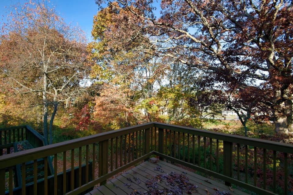 545 Gold Leaf Drive, photo 21 of 40