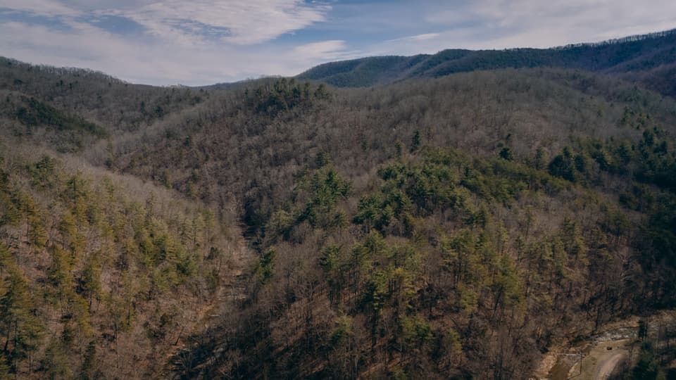 797 Elliott Creek Rd, photo 9 of 15