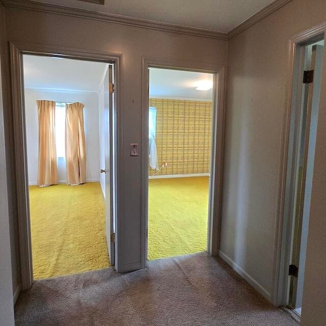 290 Briarwood Drive, photo 18 of 32
