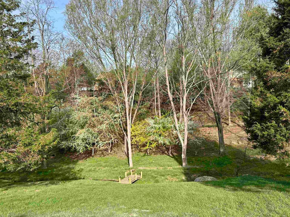 215 Morning Star Lane, photo 3 of 22