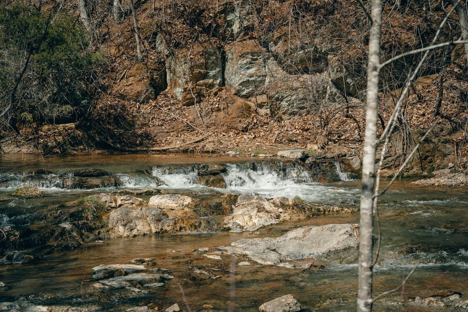 797 Elliott Creek Rd, photo 13 of 15