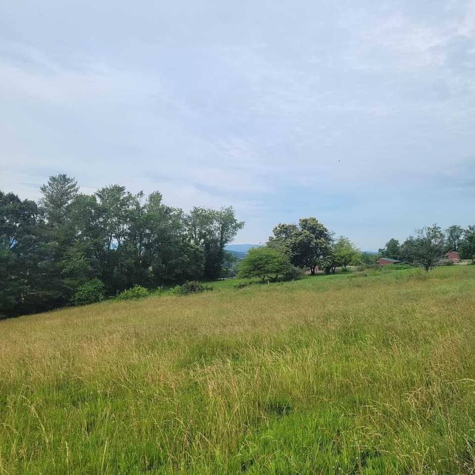 0 Mud Pike Road, photo 3 of 5