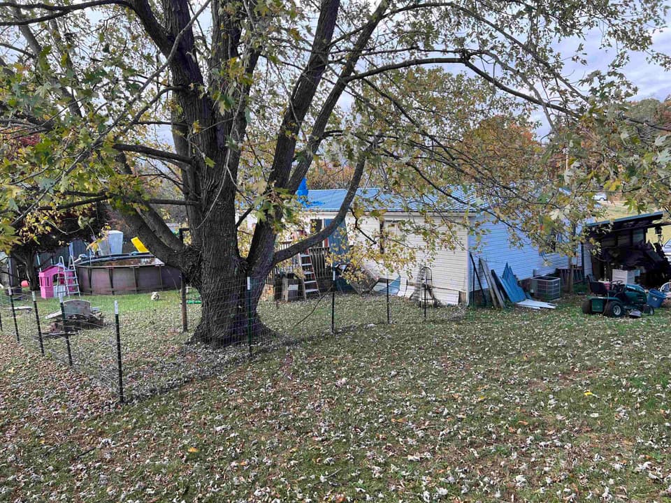 155 Mount Pleasant Road, photo 2 of 12