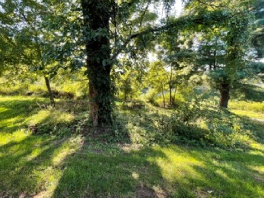 1040 Long Street, photo 8 of 21