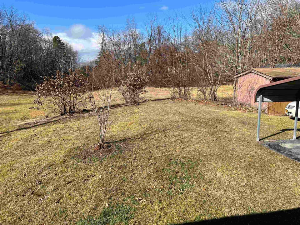 215 Jones Street, photo 6 of 23