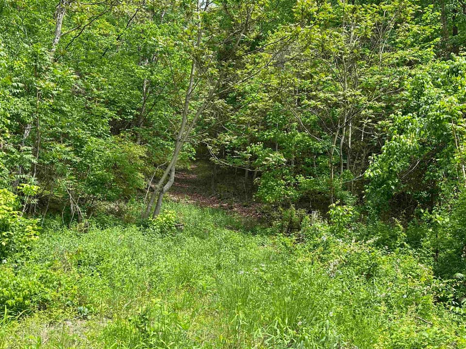 TBD Pilot Road, photo 7 of 11