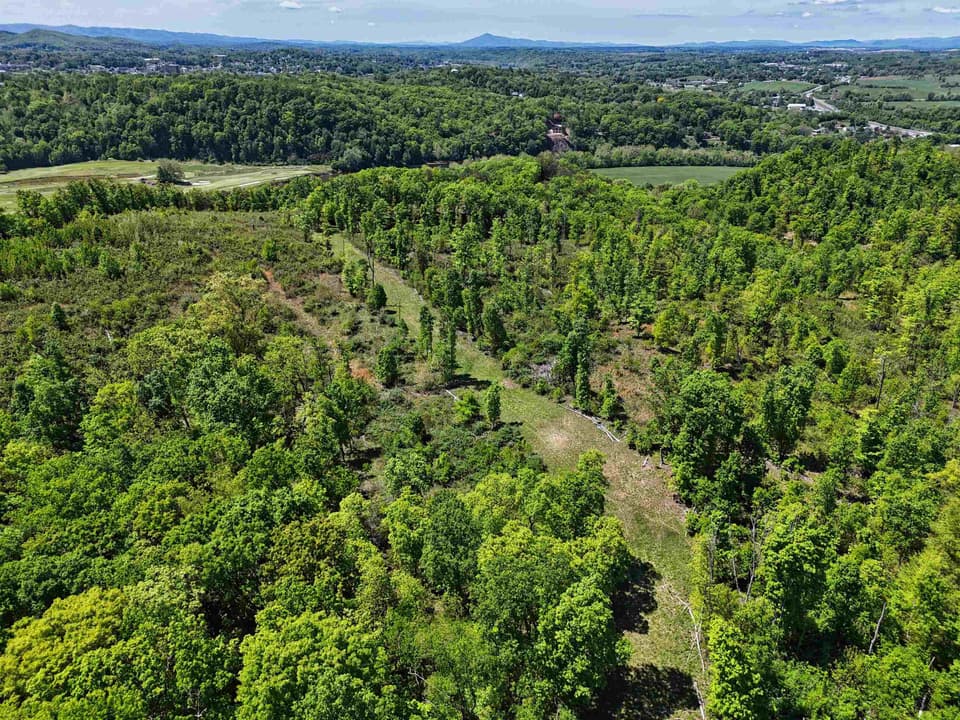 TBD Peppers Ferry Road, photo 9 of 30