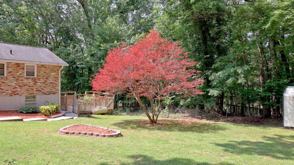 2611 Kings Court, photo 7 of 40