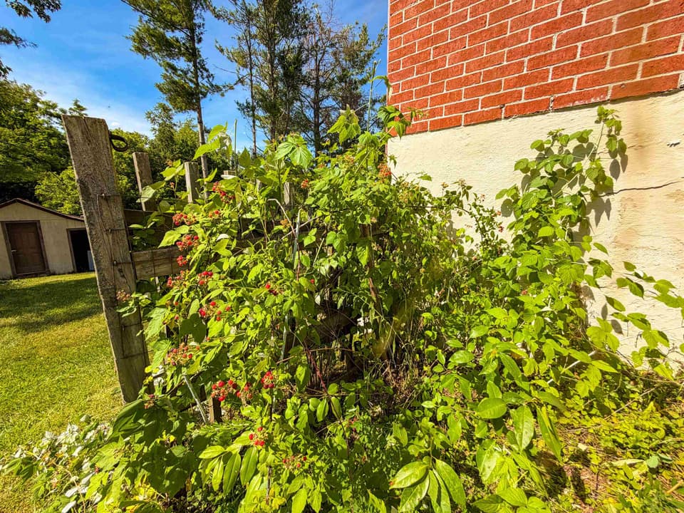 1365 Mahone Street, photo 26 of 27