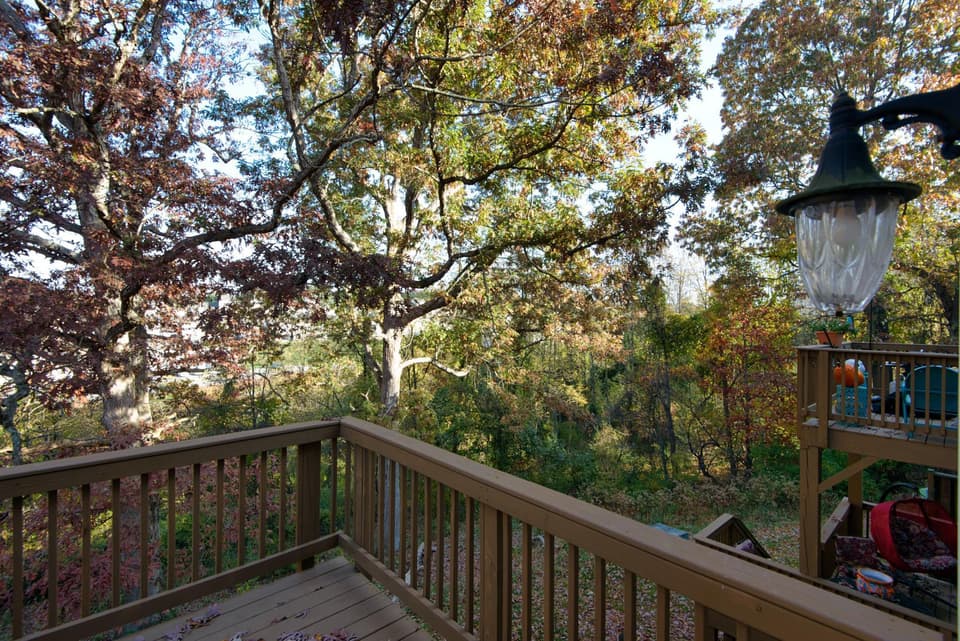 545 Gold Leaf Drive, photo 23 of 40