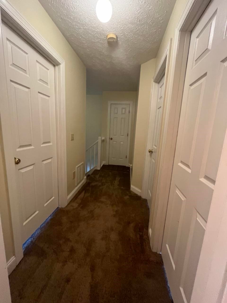 315 Silver Leaf Drive, photo 32 of 35