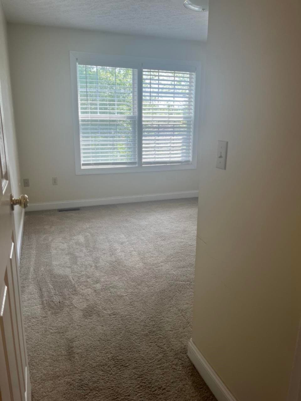 315 Silver Leaf Drive, photo 24 of 35