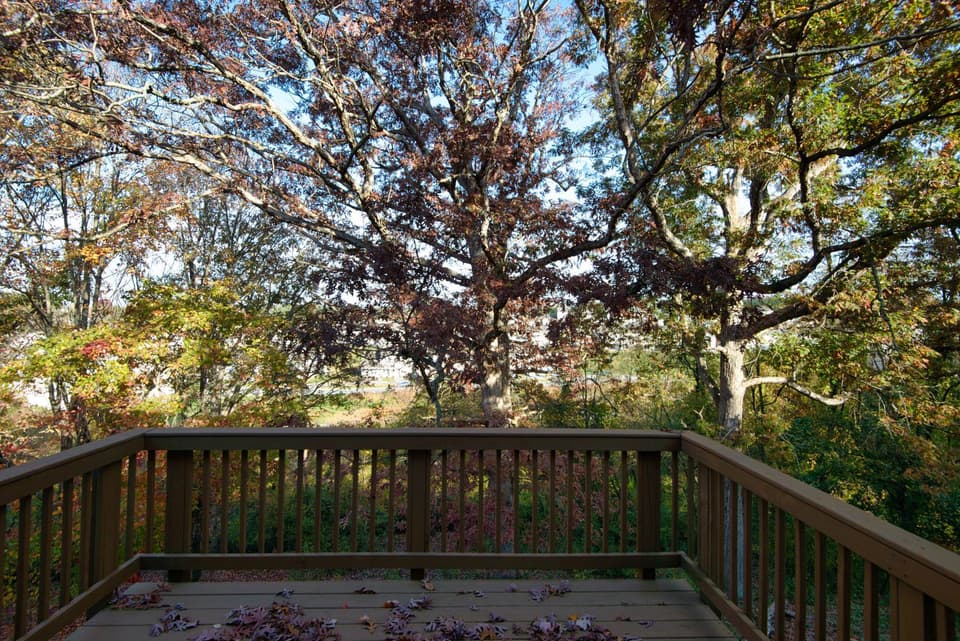 545 Gold Leaf Drive, photo 22 of 40