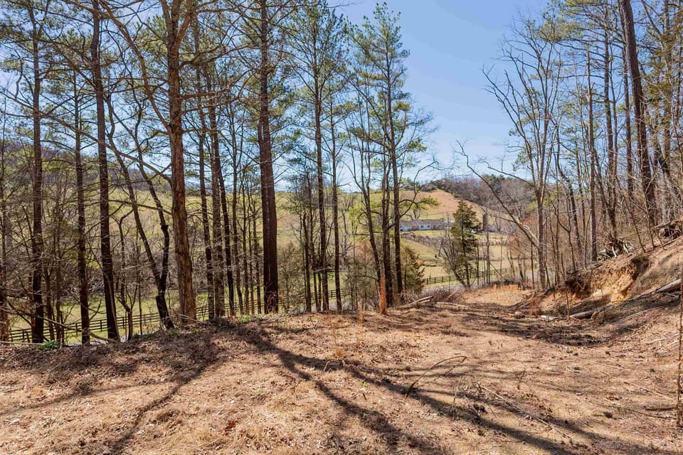 TBD Indigo Road, photo 9 of 27