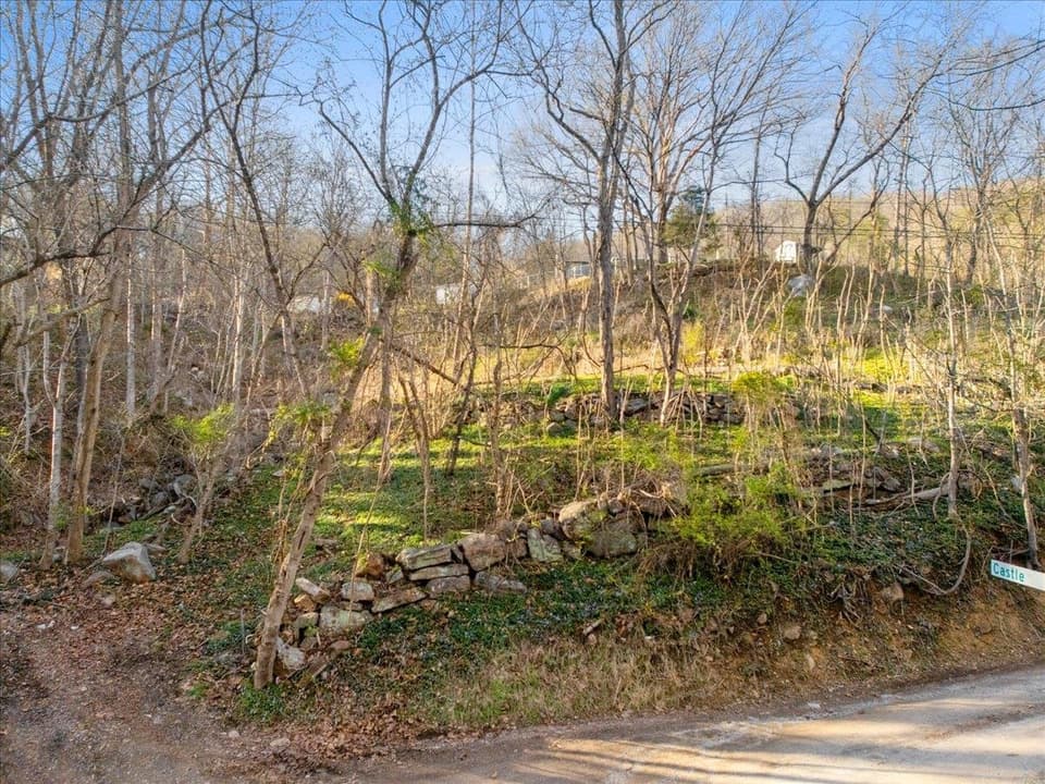 TBD Castle Road, photo 4 of 18