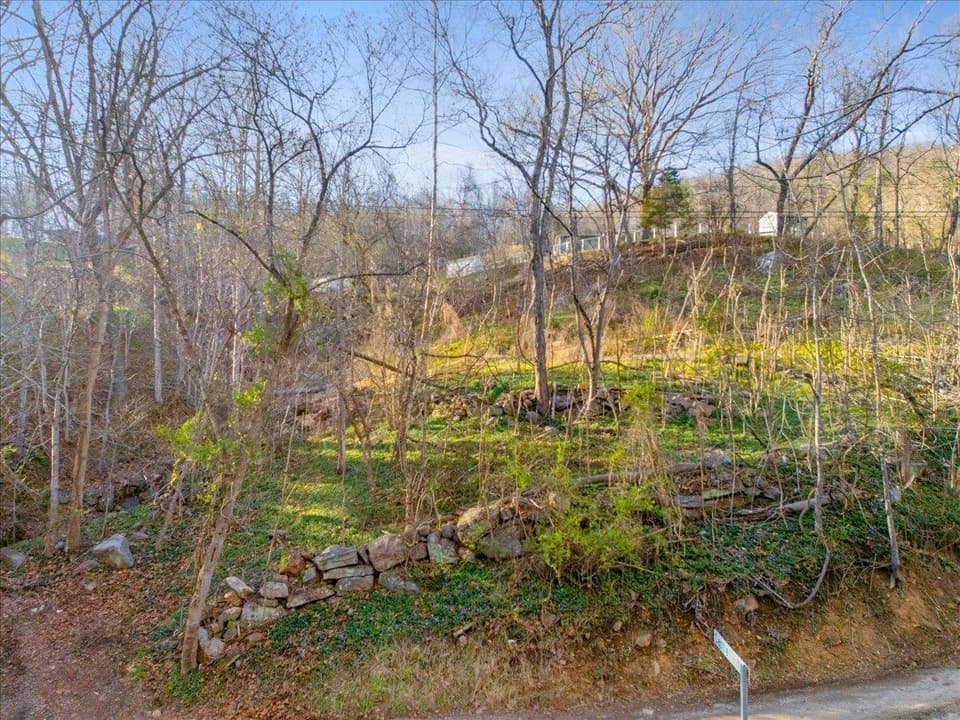 TBD Castle Road, photo 5 of 18