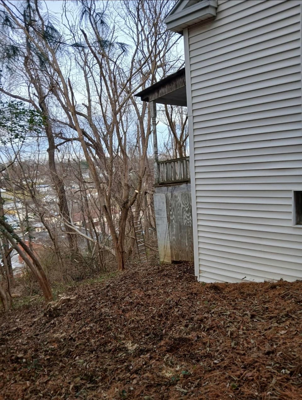 570 Schaeffer Drive, photo 5 of 13