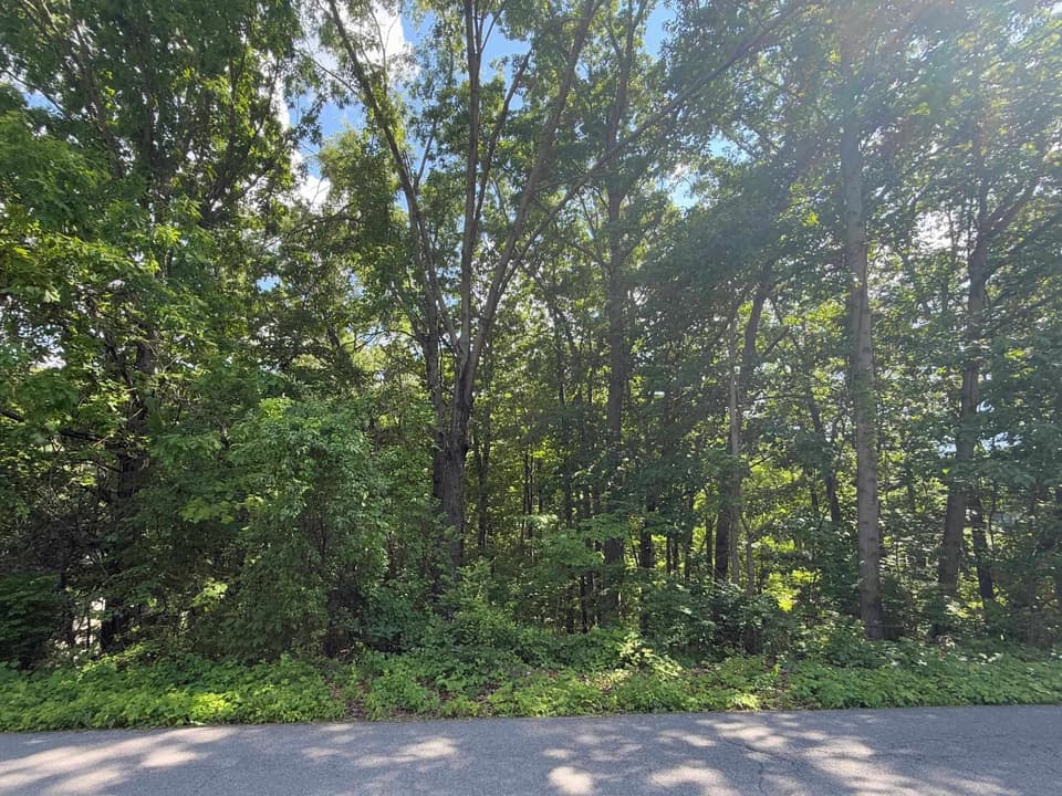 1235 Sherwood Drive, photo 2 of 3