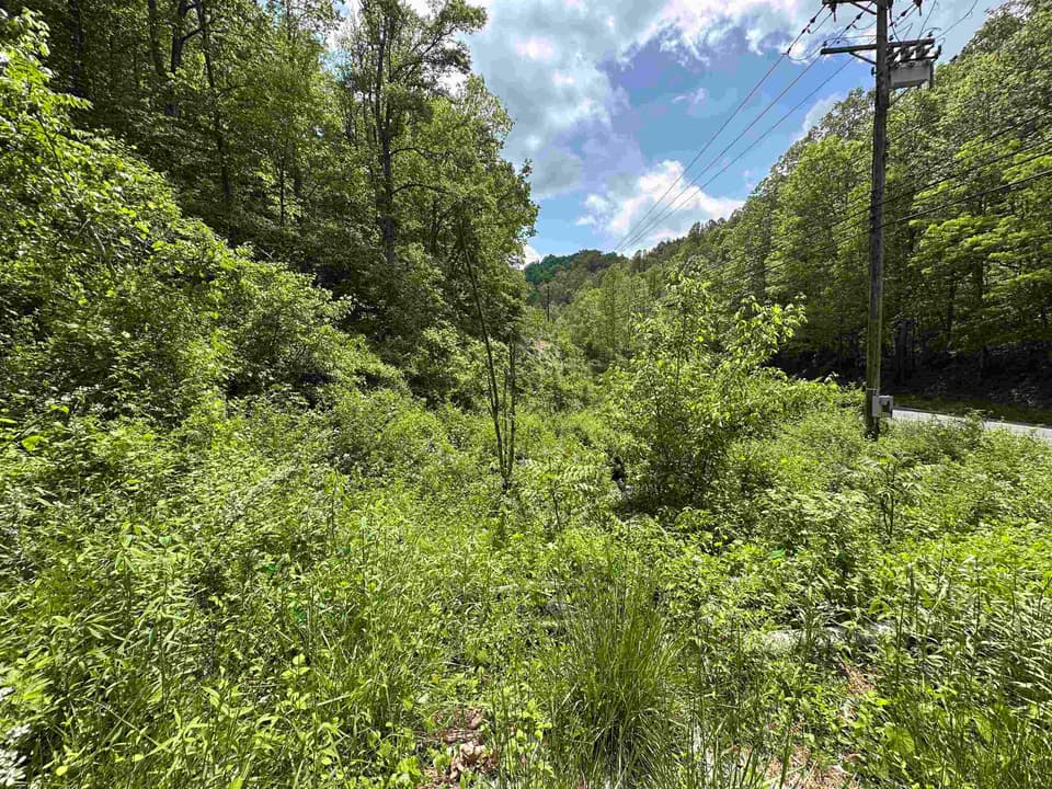 TBD Pilot Road, photo 8 of 11