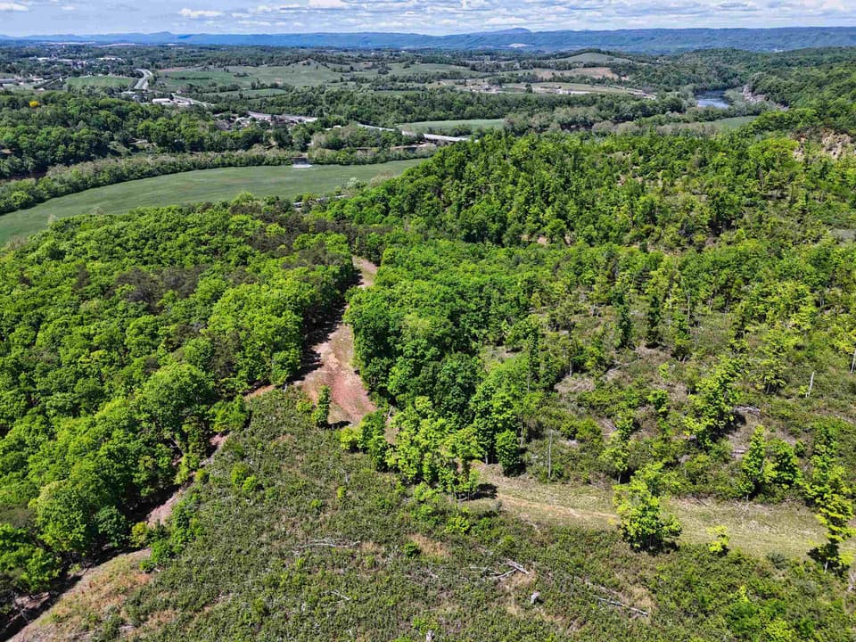 TBD Peppers Ferry Road, photo 16 of 30