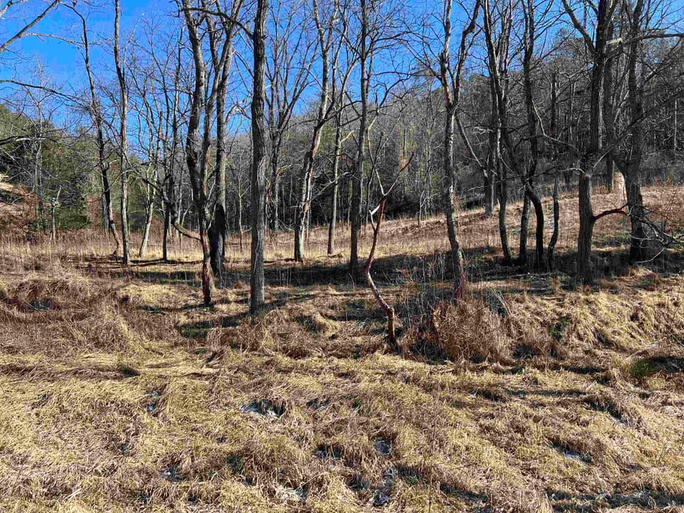 TBD Pilot Road, photo 14 of 17