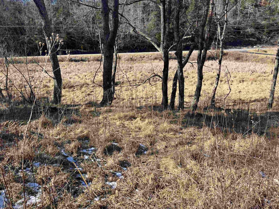 TBD Pilot Road, photo 10 of 17