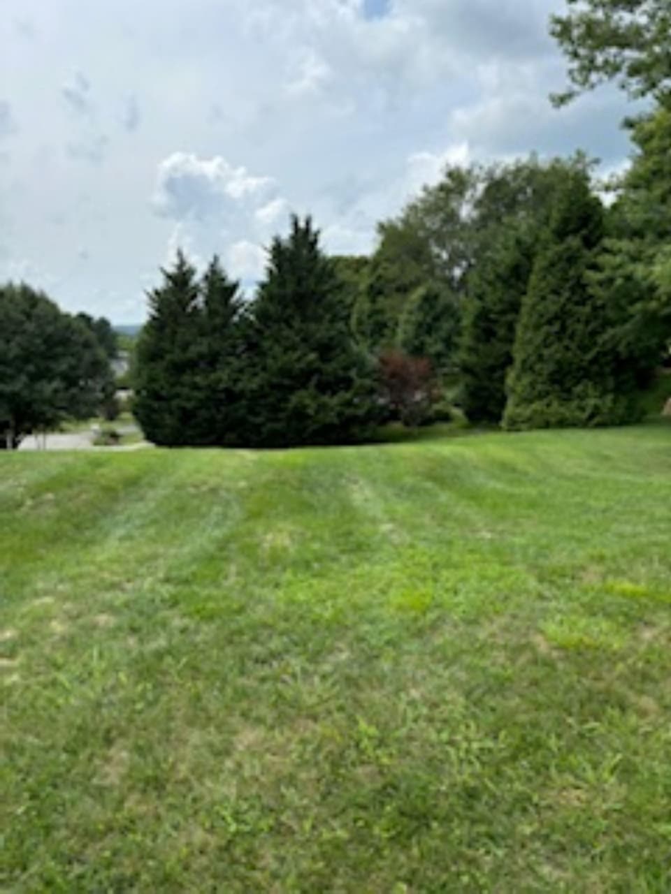 180 Kays Drive, Christiansburg, photo 2