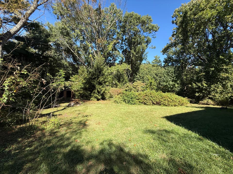 1100 Scott St, photo 7 of 28