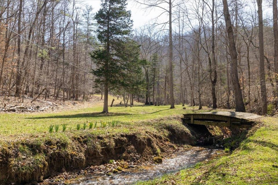 1256 Falling Branch Road, photo 23 of 35