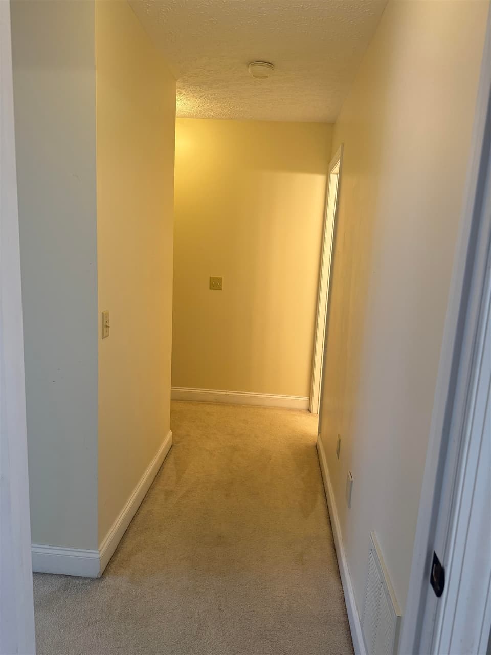 425 Silver Leaf Drive, photo 24 of 29