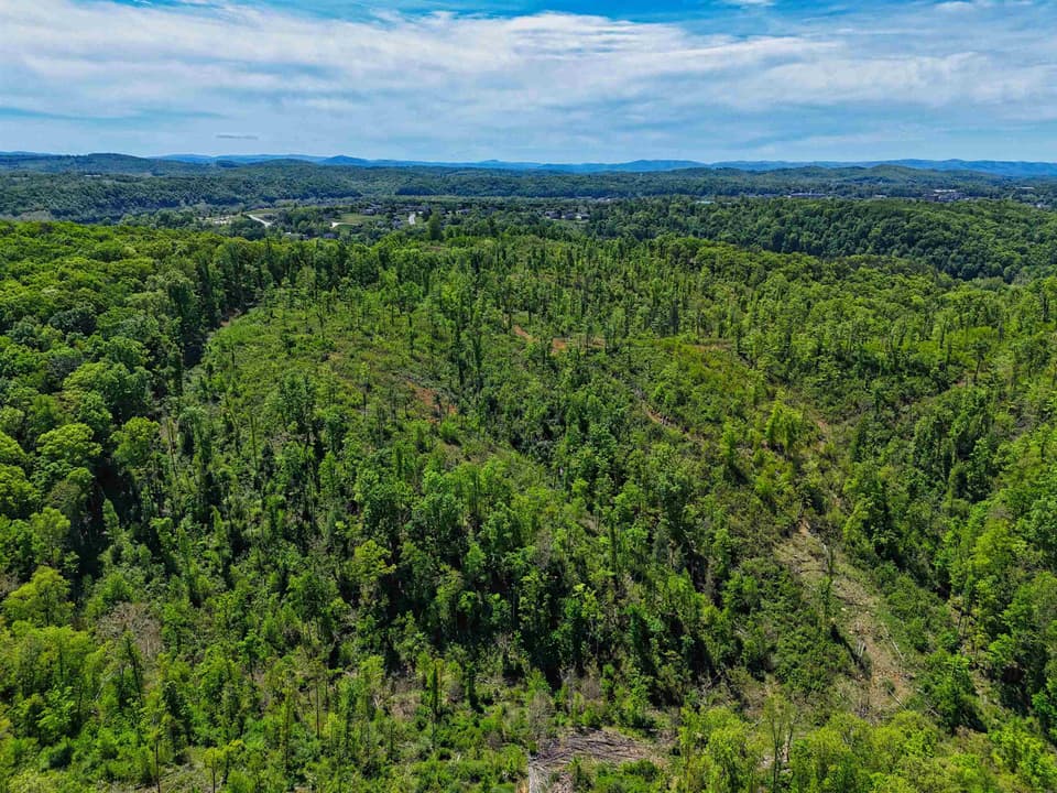 TBD Peppers Ferry Road, photo 6 of 30
