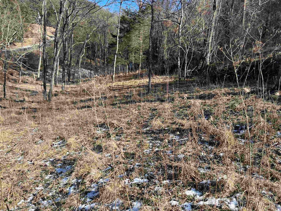 TBD Pilot Road, photo 9 of 17