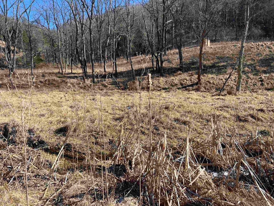 TBD Pilot Road, photo 15 of 17