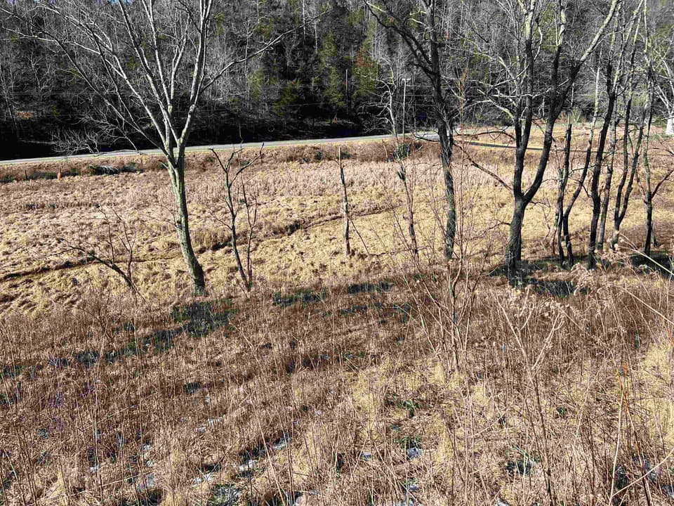 TBD Pilot Road, photo 6 of 17