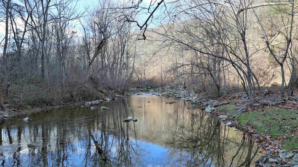 2533 North Fork Road, photo 4 of 17