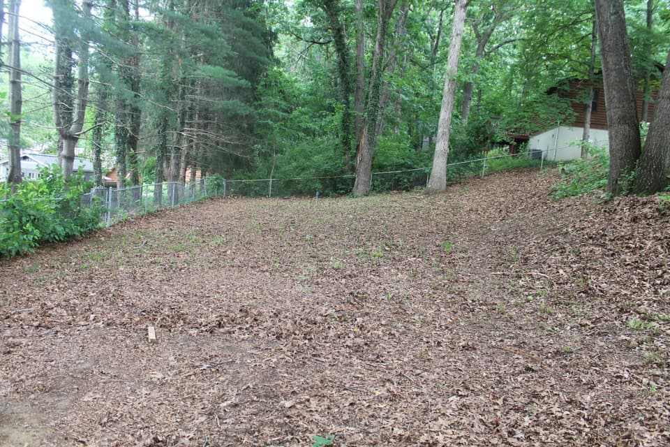 1160 Scott St, photo 8 of 21