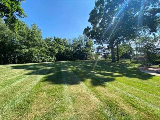 505 Southview Terrace, photo 3 of 32