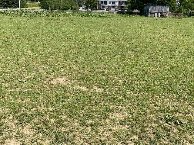 1200 Buffalo Dr, photo 7 of 12