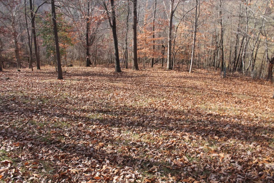 2370 Kingston Branch Rd, photo 20 of 26