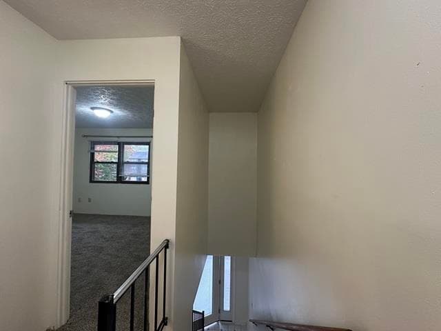 2602 Glade Drive, photo 17 of 21