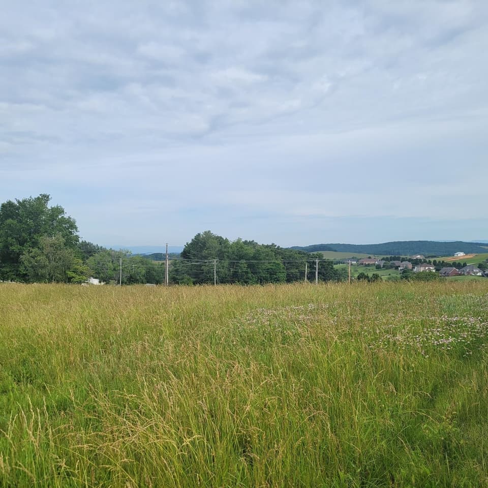 0 Mud Pike Road, photo 2 of 5