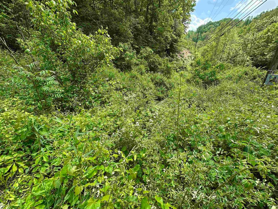 TBD Pilot Road, photo 11 of 11