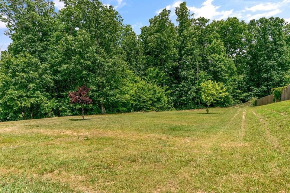 205 Robin Hood Drive, photo 10 of 40
