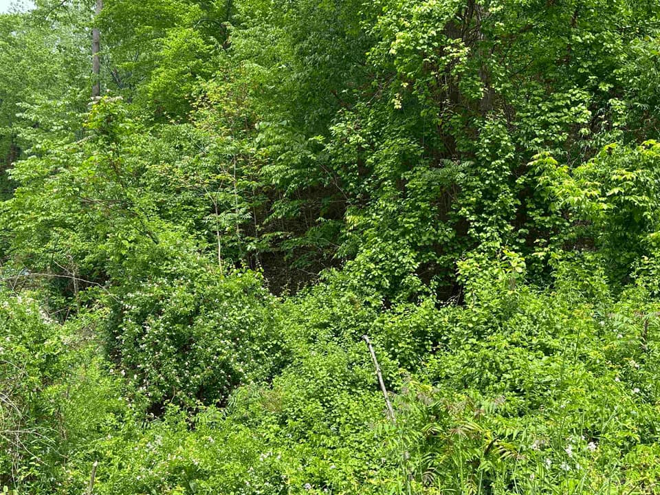 TBD Pilot Road, photo 10 of 11